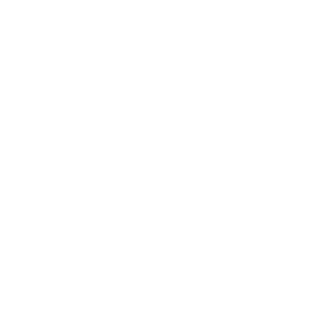 White logo webp